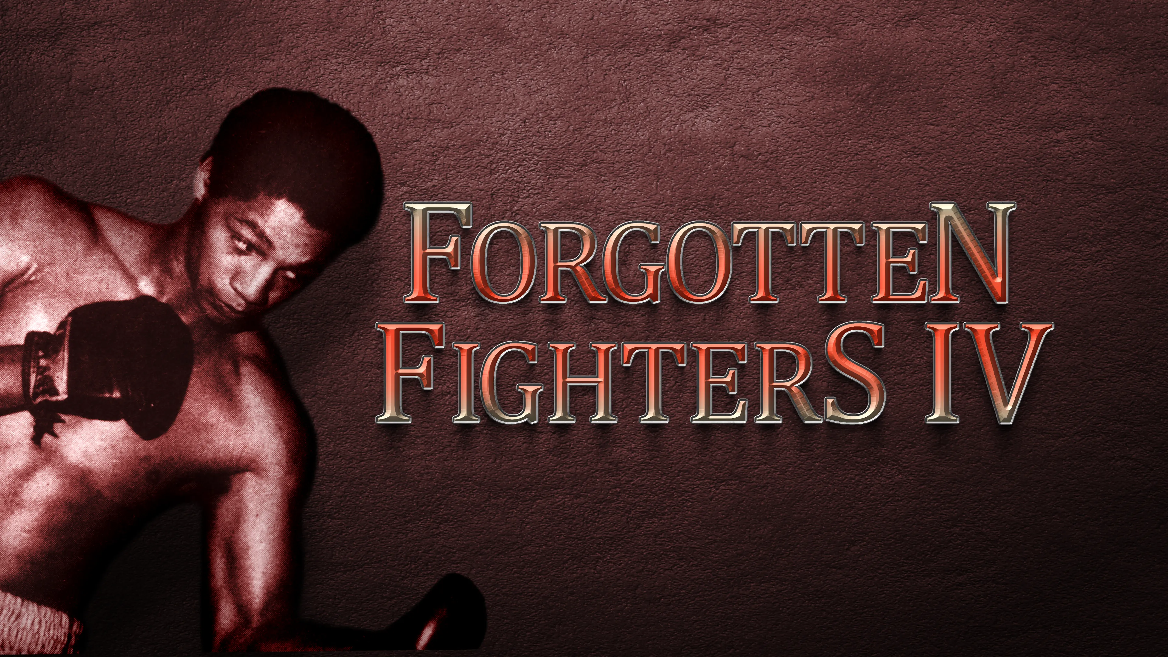 Forgotten Fighters IV poster